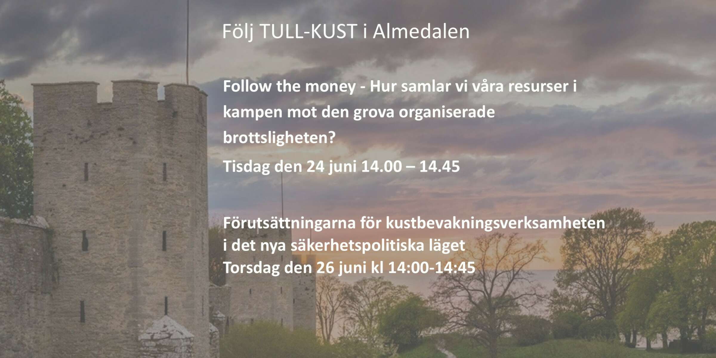 Hemsida Almedalen 2025 3