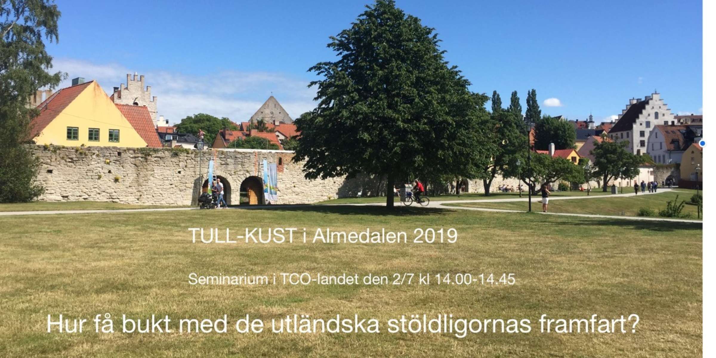 Almedalen hemsida