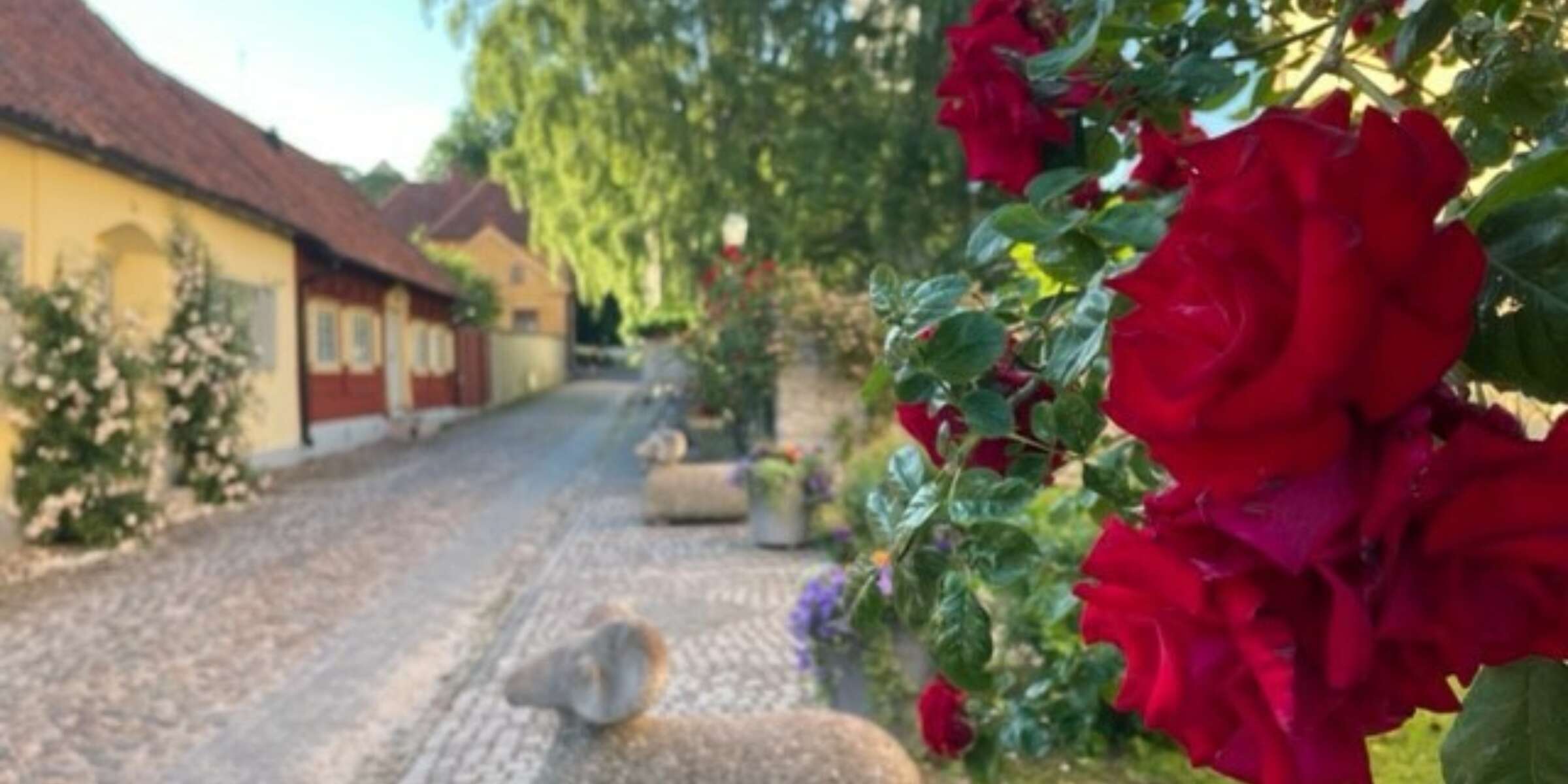 Sommarhalsning